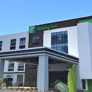 Holiday Inn - Tampa North, An Ihg Hotel